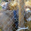 Tag_der_offenen_Tuer_14