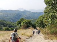 Eine Pilgergruppe spirituell leiten und begleiten - Pilgerleitungsausbildung 2026-27