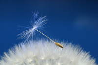 Gib deinem Körper eine Pause und deiner Seele Raum - November