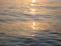 Ich bin - Erneuerung und Leben