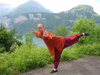 Gastkurs: Shaolin Qi Gong und Chan Meditation