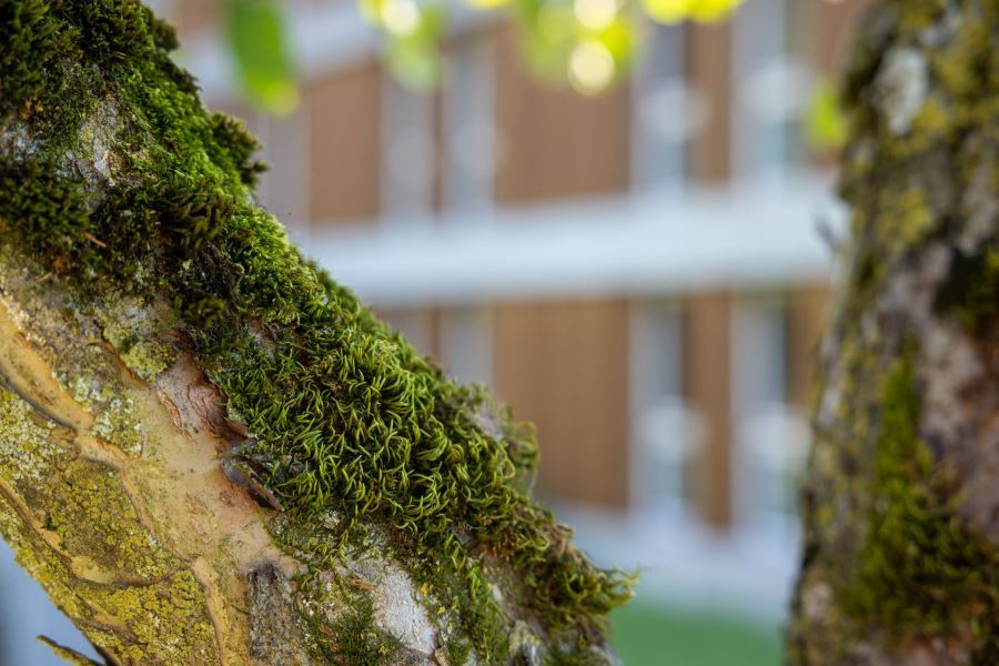 Mattli_Antoniushaus_Hotel_Restaurant_Seminar_Bildung_Morschach